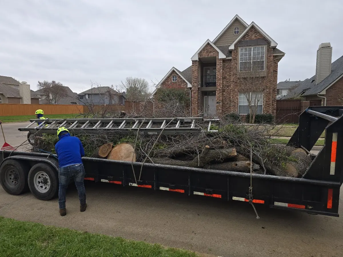 Expert Tree Fertilization with proper safety equipment in Kingsville